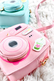 Camera Handbag